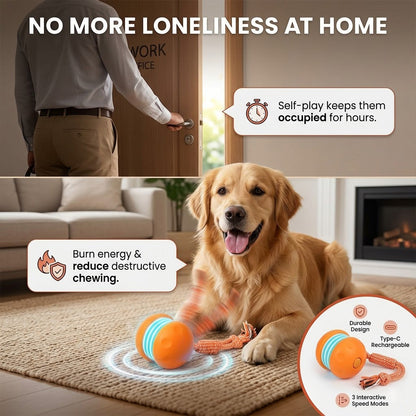 00Keep Your Pet Relaxed, Happy & Content
